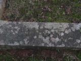 image of grave number 954304